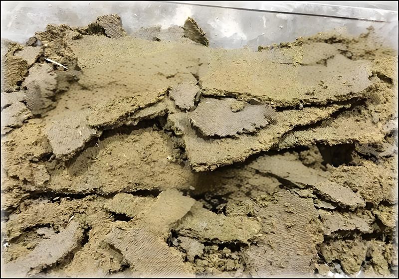 植物渣压榨脱水后